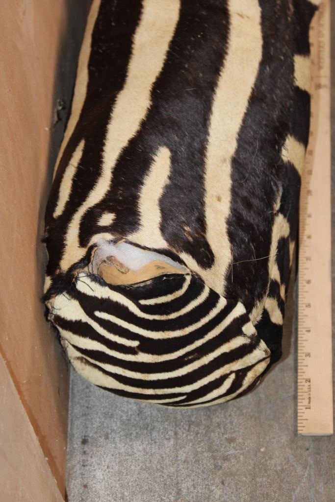 (3) ZEBRA Hide PILLOWS - 3