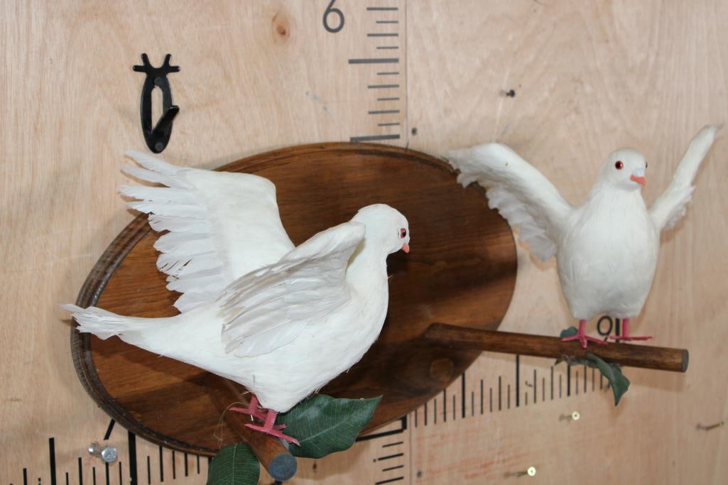 2 Reproduction WHITE DOVES Perched on a Wood Plaque - 3