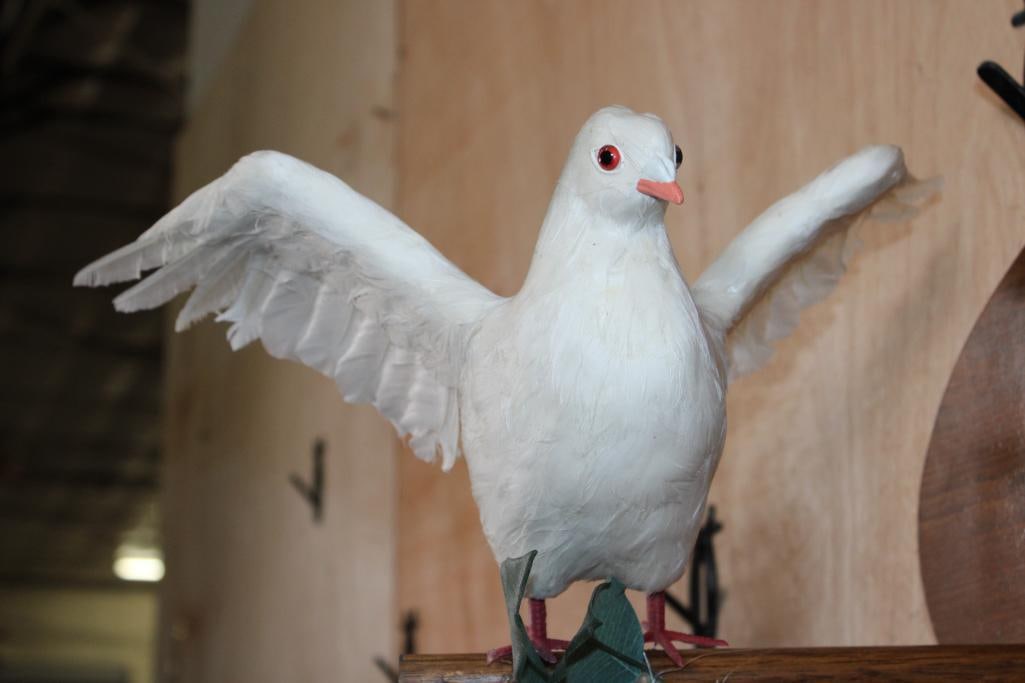 2 Reproduction WHITE DOVES Perched on a Wood Plaque - 5