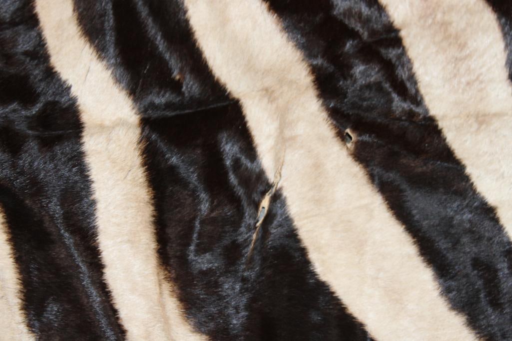 ZEBRA Backhide with Vibrant Stripes - 3