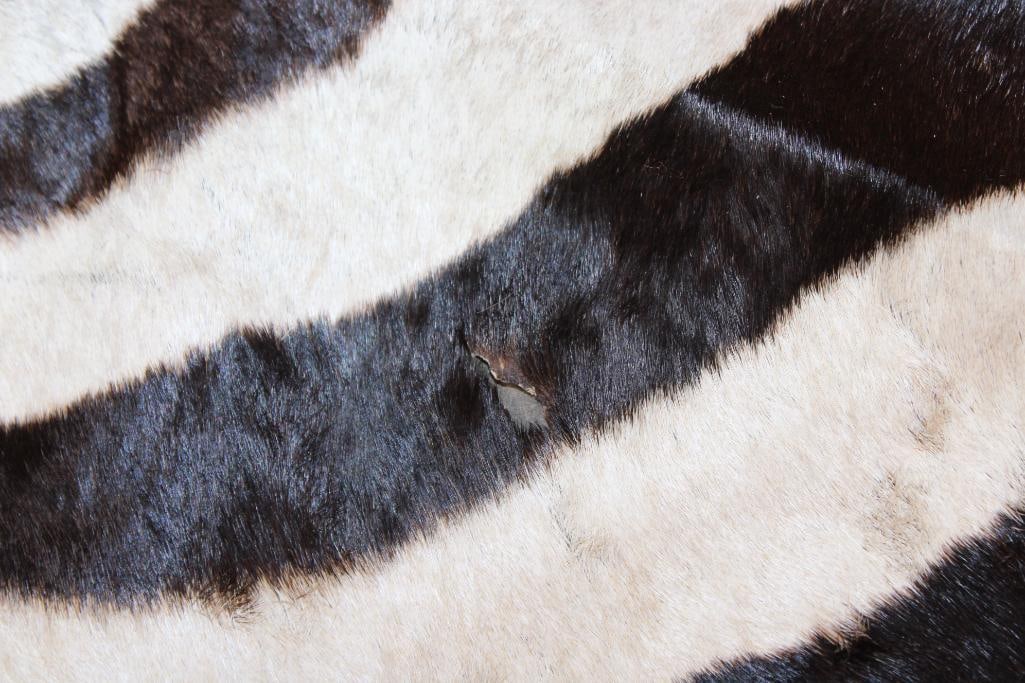 ZEBRA Backhide with Vibrant Stripes - 4