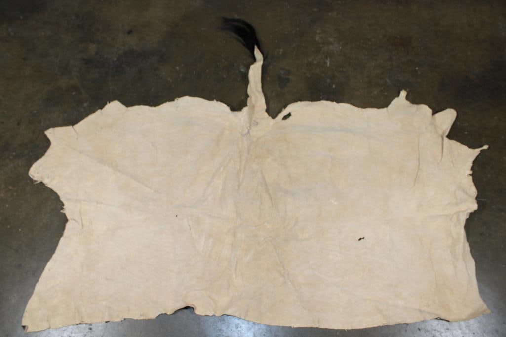 ZEBRA Backhide with Vibrant Stripes - 5