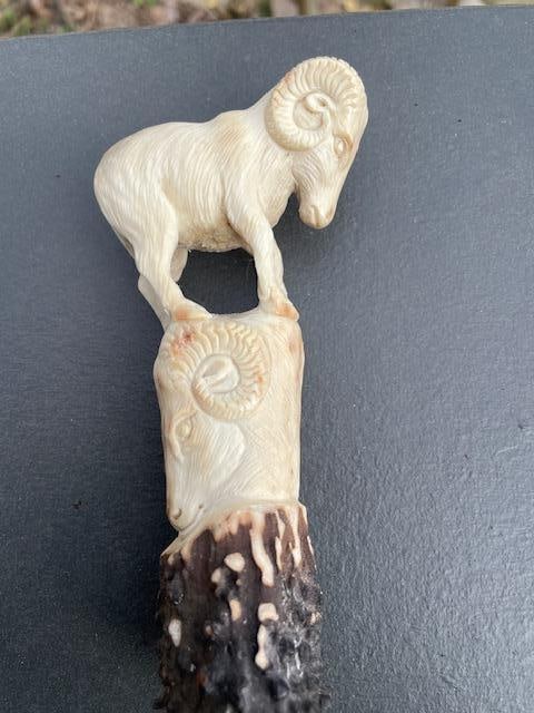 Hand-carved STAG ANTLER Handle of Bighorn SHEEP - 2