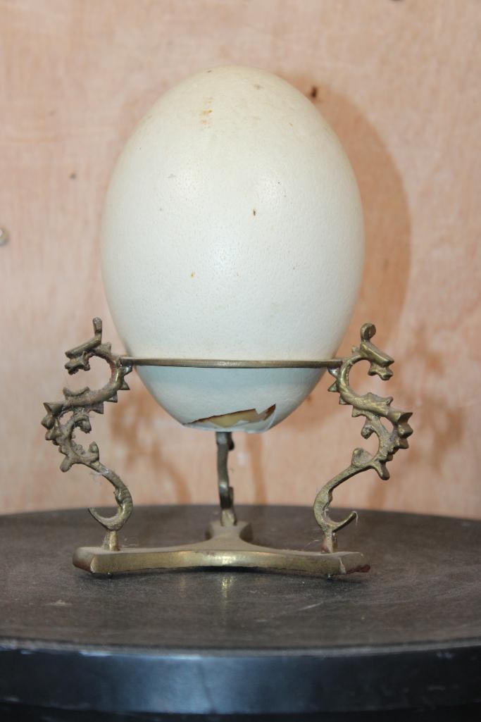 OSTRICH EGG on a Brass Dragon Stand: Smaller OSTRICH EGG on a Brass Dragon Stand. The Ostrich Egg measures 5 1/8" Tall x 4" Wide. There is a chip on the lower drain hole. DECORATIVE TAXIDERMY 