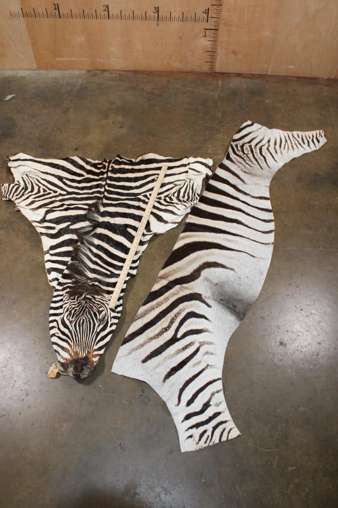 (2) ZEBRA Hide Sections - 2