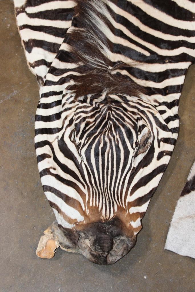 (2) ZEBRA Hide Sections - 3