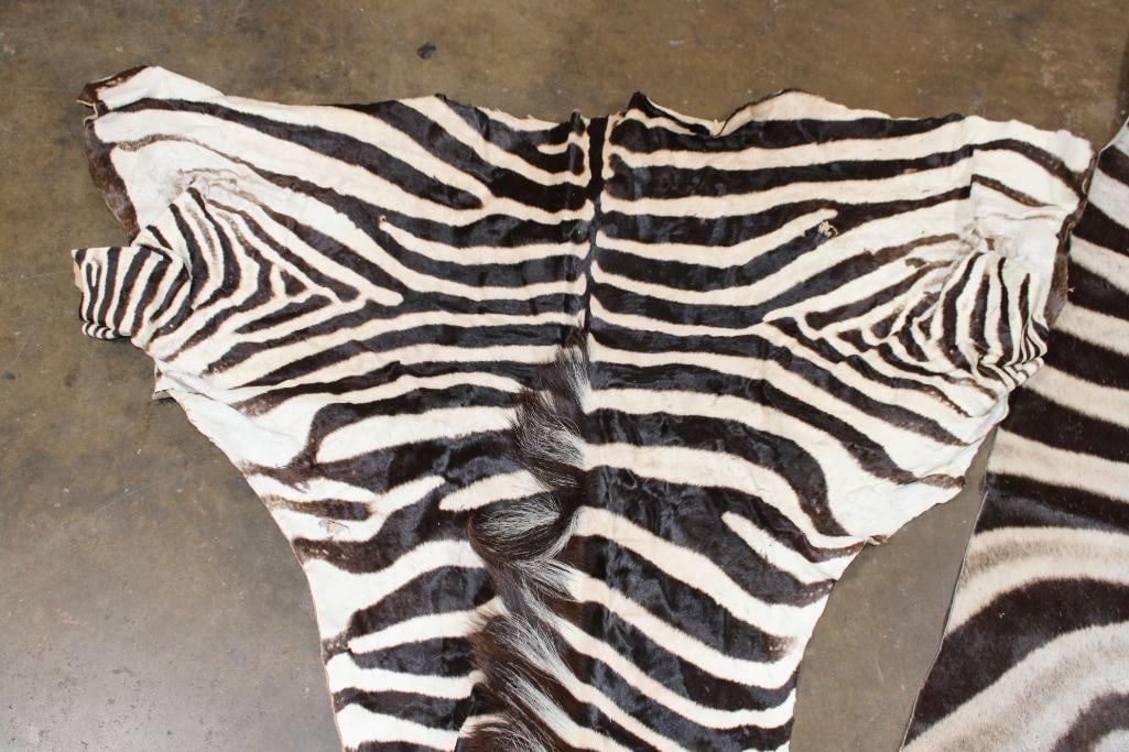 (2) ZEBRA Hide Sections - 4