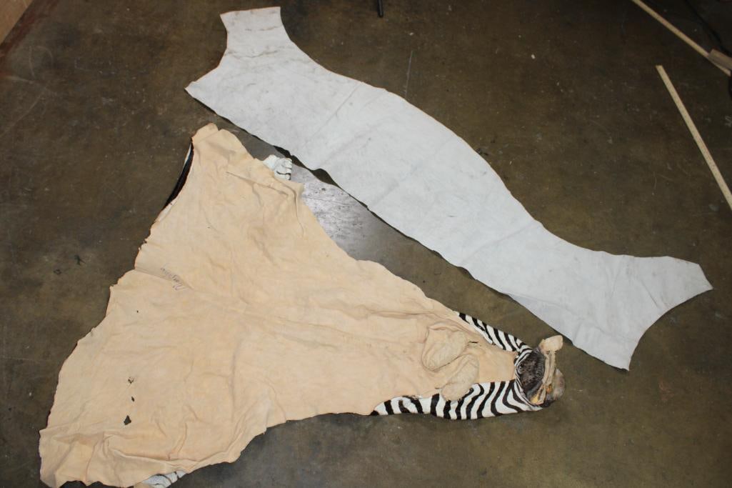 (2) ZEBRA Hide Sections - 7