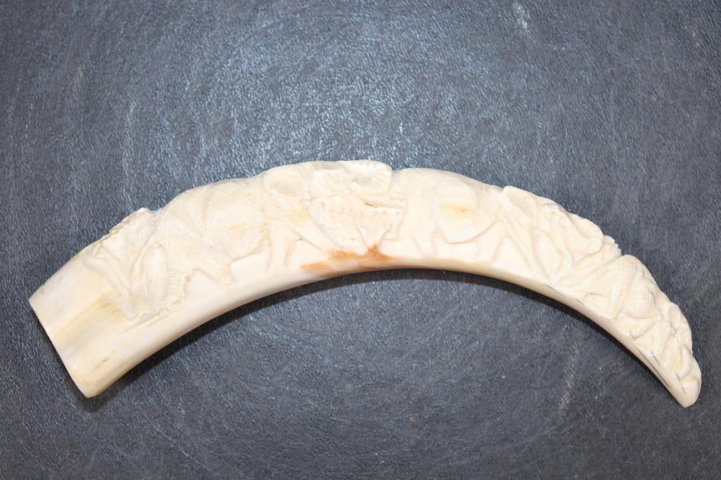 Big Scrimshawed WARTHOG Tusk with an Elephant Scene: Big Scrimshawed WARTHOG Tusk with an Elephant Scene. It measures 8 7/8" aroung the Curve. DECORATIVE TAXIDERMY ART 