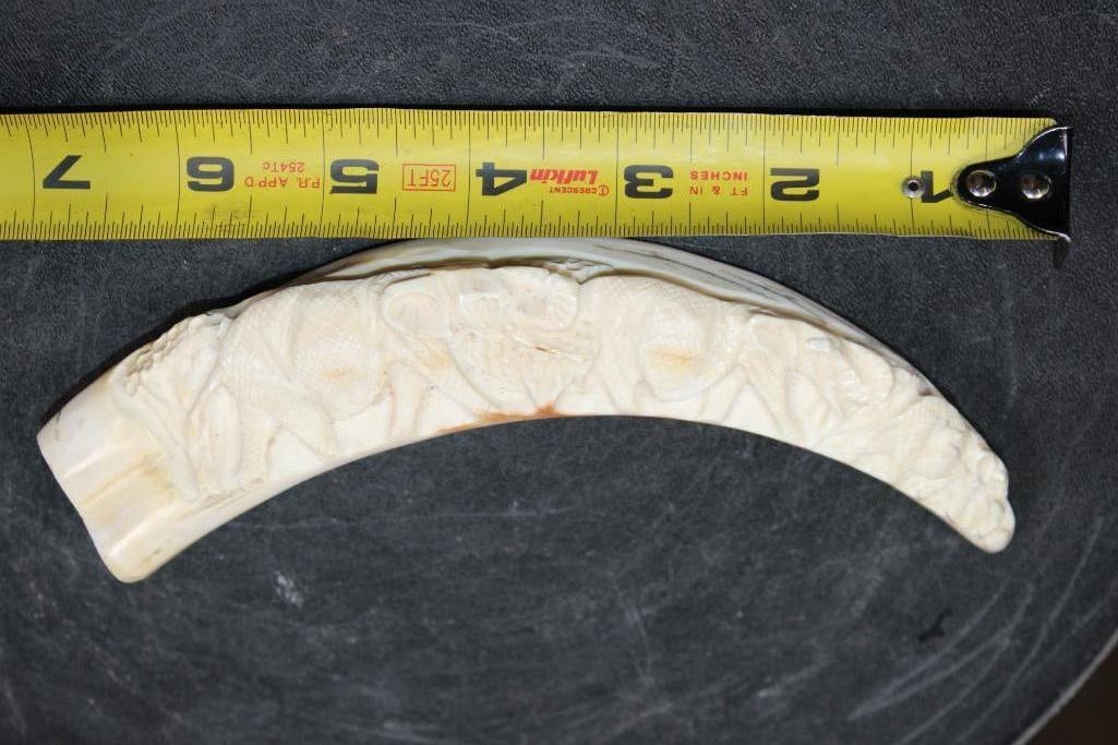 Big Scrimshawed WARTHOG Tusk with an Elephant Scene - 2