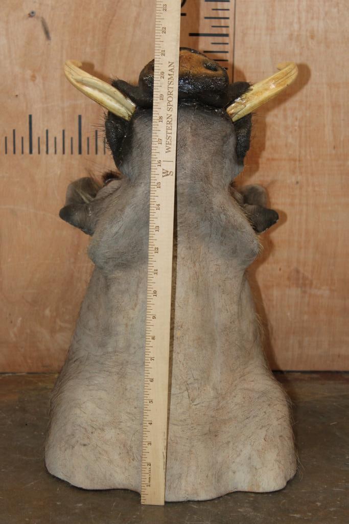 WARTHOG Shoulder Mount - 7