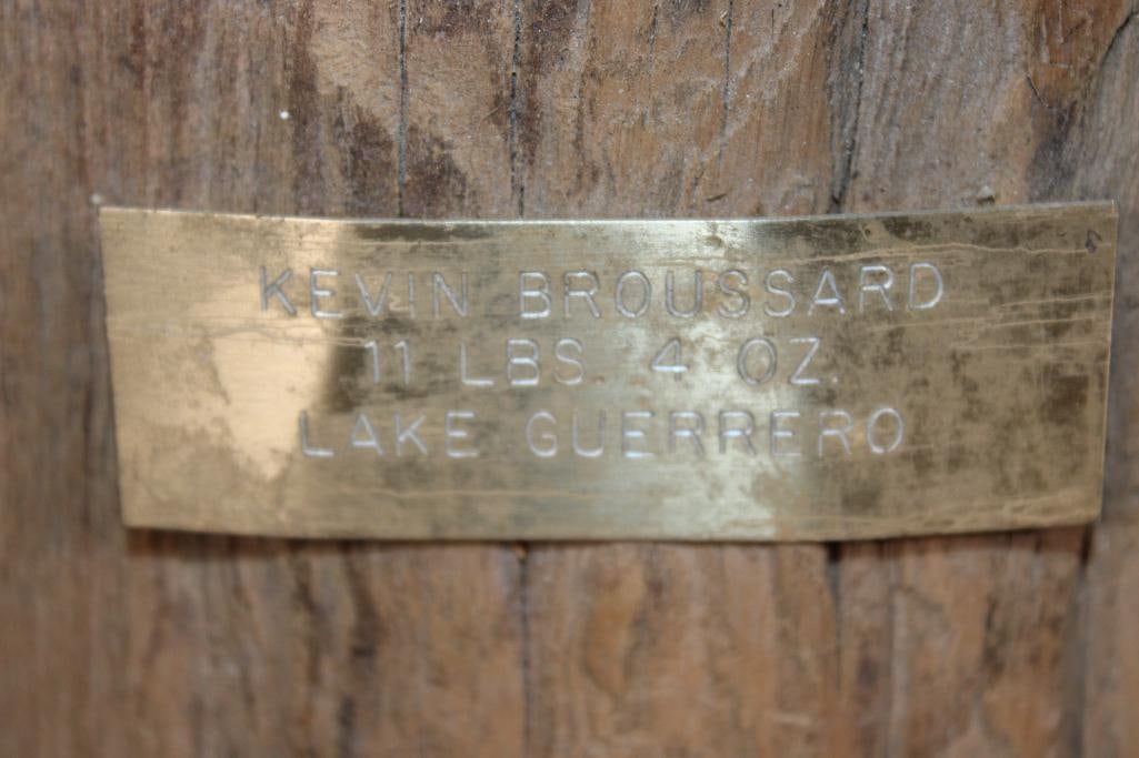 Big *Real Skin* BASS Fish Mounted on Driftwood - 7