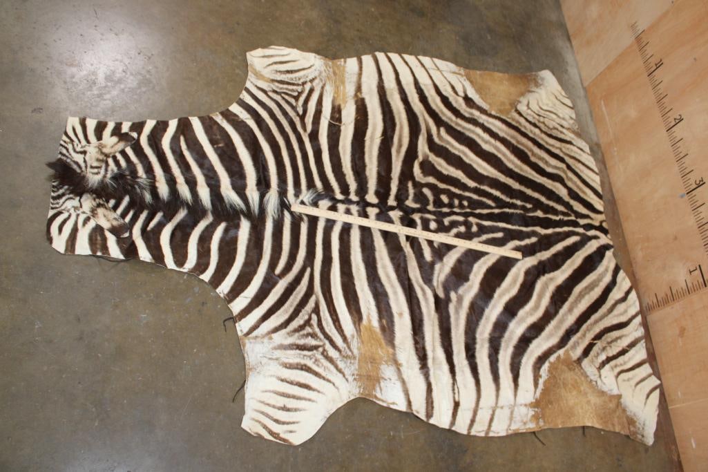 ZEBRA Hide or ZEBRA Rug - 2