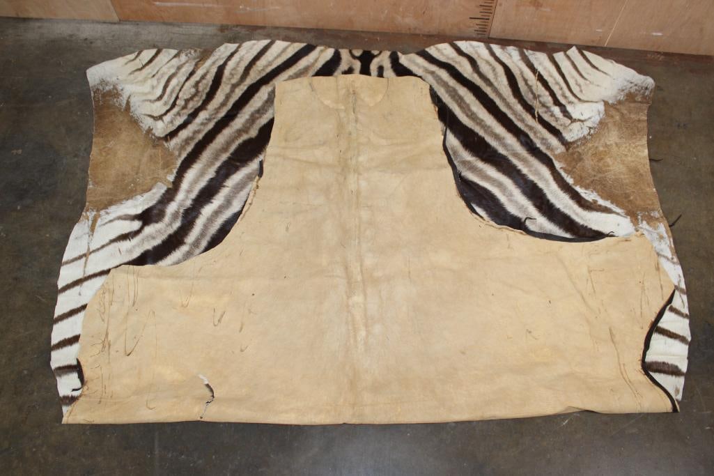 ZEBRA Hide or ZEBRA Rug - 6