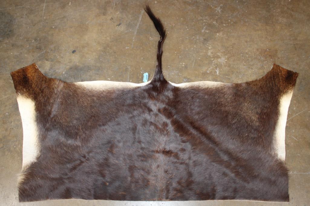 SABLE Back Hide (1 of 3)