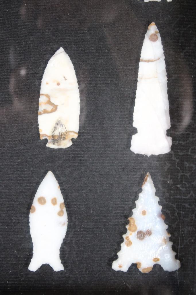 (14) Hand-knapped Polka Dot Agate ARROWHEADS in a Display Case - 7