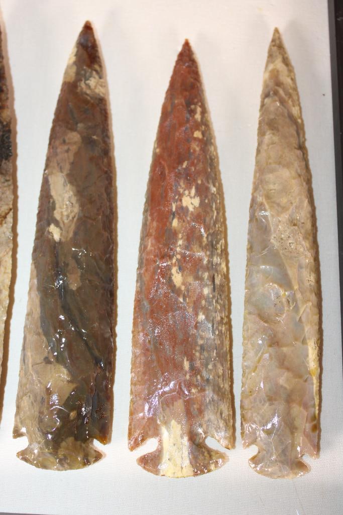 (7) XXL Contemporary Fancy Jasper ARROWHEADS in a Display Case - 6