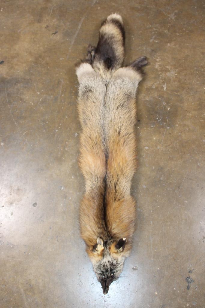 XL Tanned ARTIC CROSS FOX Full Hide: Nice XL Tanned ARTIC CROSS FOX Full Hide. It measures 52" Long and is in Very Good Condition. TAXIDERMY HIDES 