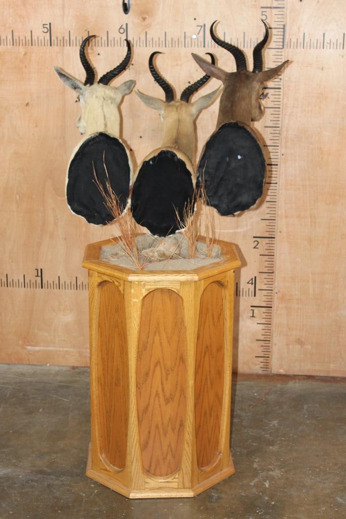 3 SPRINGBOK Pedestal Mount - 7