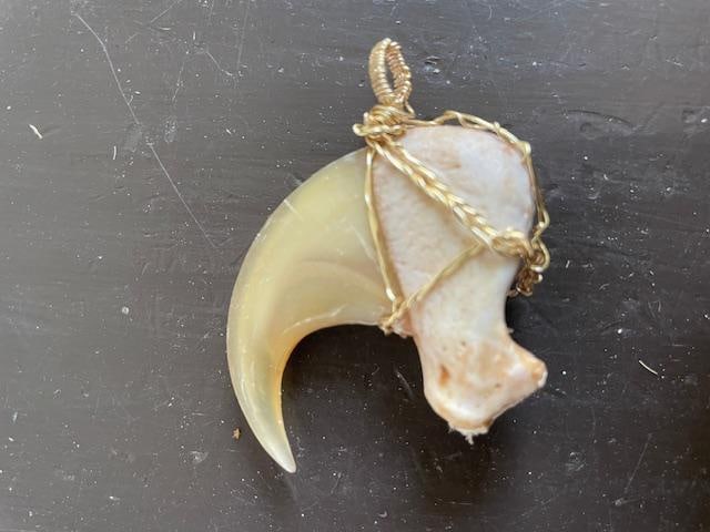 COUGAR or MOUNTAIN LION "Front Killer" Dew Claw Wire Wrapped for Jewelry (1 of 5)