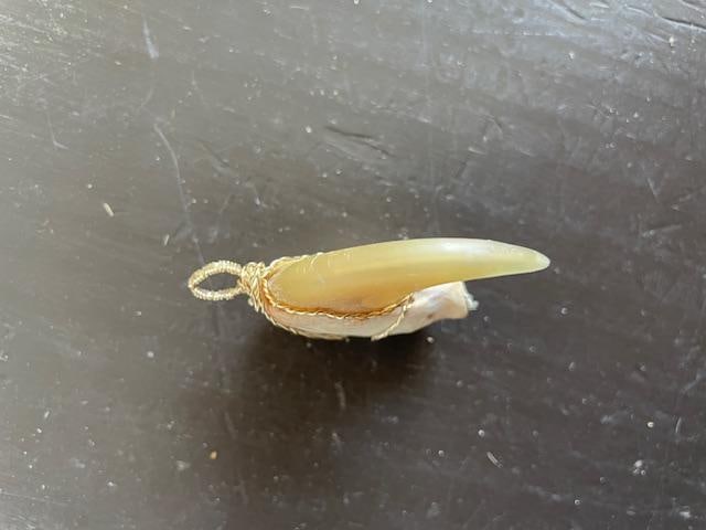 COUGAR or MOUNTAIN LION "Front Killer" Dew Claw Wire Wrapped for Jewelry - 4