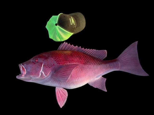 *New* Huge Reproduction SNAPPER Fish Taxidermy Mount (1 of 5)