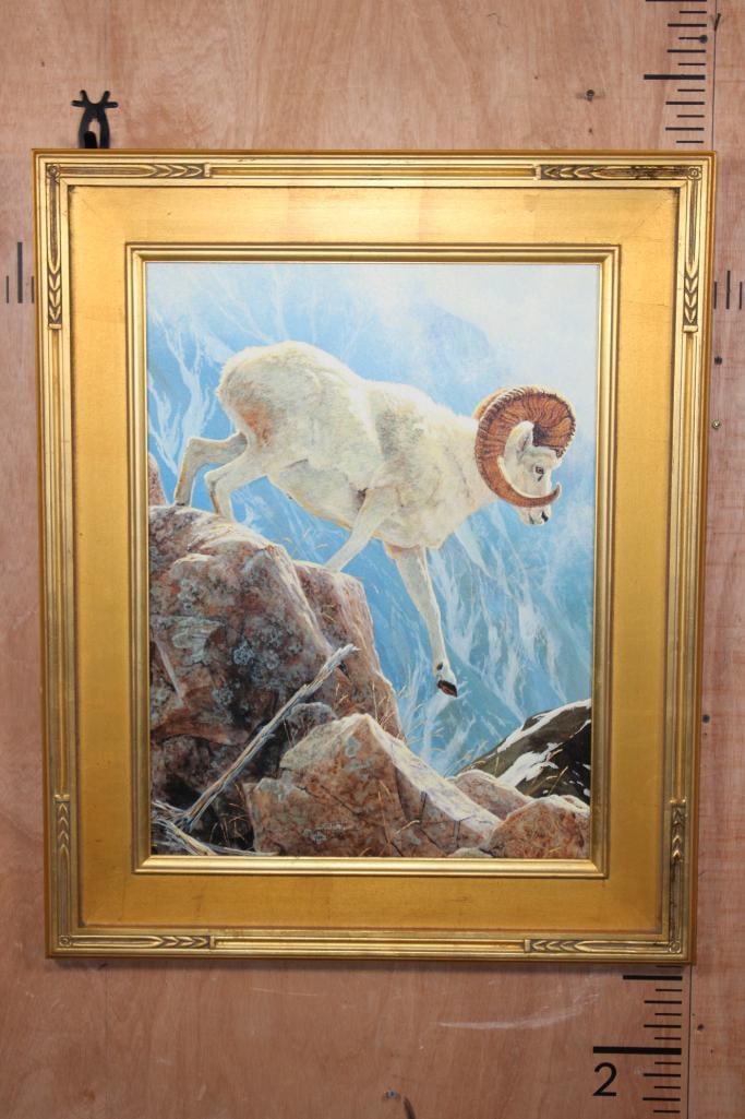 "Dall Sheep" Giclee Signed and Numbered #4/200 by artist Jan Martin McGuire: "Dall Sheep" Giclee Signed and Numbered #4/200 by artist Jan Martin McGuire. It is displayed in a beautiful painted gold Wood Frame. It measures 26" Wide x 32" Tall. COLLECTIBLE WILDLIFE ART