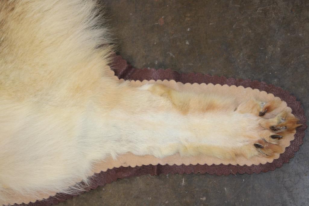 WOLF Hide or WOLF Rug with its Mounted Head and Double Felt - 7