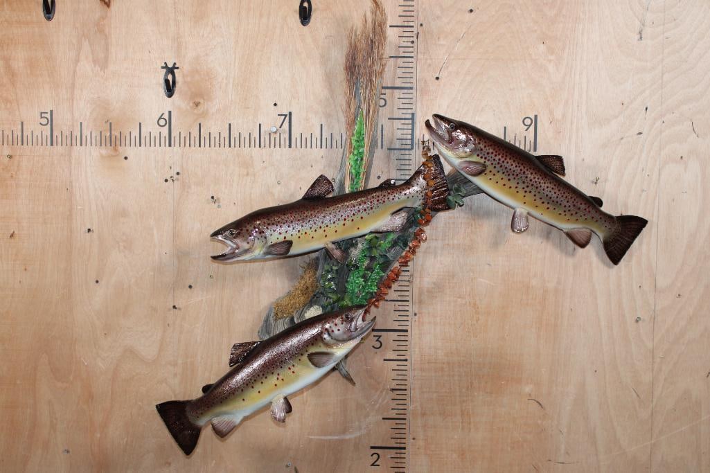 3 Reproduction BROWN TROUT on a Decorative Wall Hanging Base: 3 Very Nice, Newer and Clean Reproduction BROWN TROUT on a Decorative Wall Hanging Base. From the Top to the Bottom the Brown Trout measure 24.75" Long, 23.5" Long, and 22.5" Long. The Total Mount