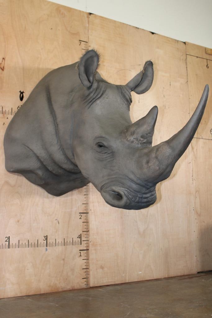 Full Reproduction WHITE RHINOCERAS Shoulder Mount: Incredibly Nice Full Reproduction WHITE RHINOCEROS Shoulder Mount. It is Lightweight and very realistic. It measures 44" Tall x 37" Wide x 64" Depth (from the wall). It is in Very Good Condition.