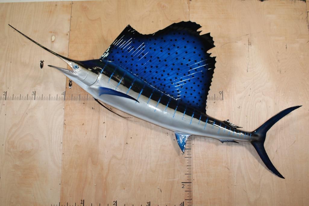 XXL Reproduction SAILFISH Mount: Incredibly Nice XXL Reproduction SAILFISH Mount. It measures 9' 4" Long and is in Very Good Condition. TAXIDERMY FISH 