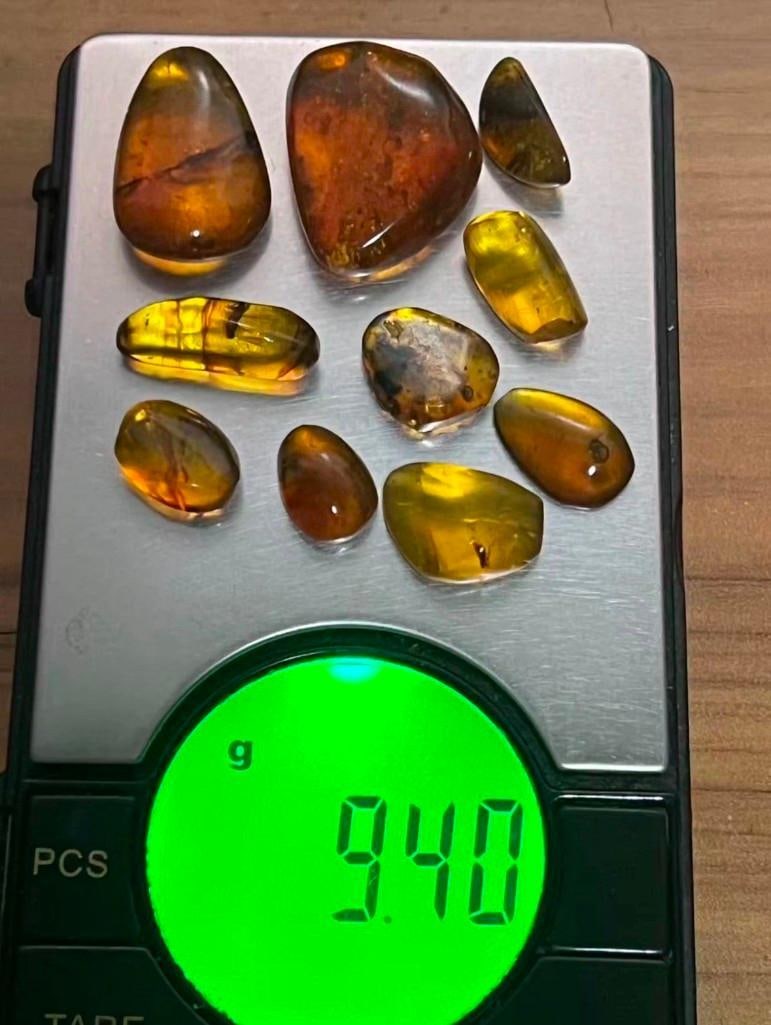 10 Pieces of Authentic Myanmar AMBER Fossil Specimens - 2