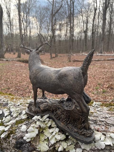 Trophy Double Drop-tine Whitetail Deer Sculpture by Fountain Creek Productions - 3