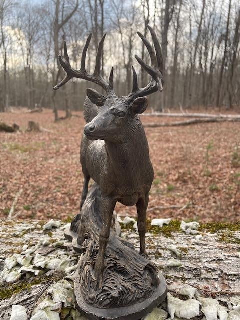 Trophy Double Drop-tine Whitetail Deer Sculpture by Fountain Creek Productions - 4