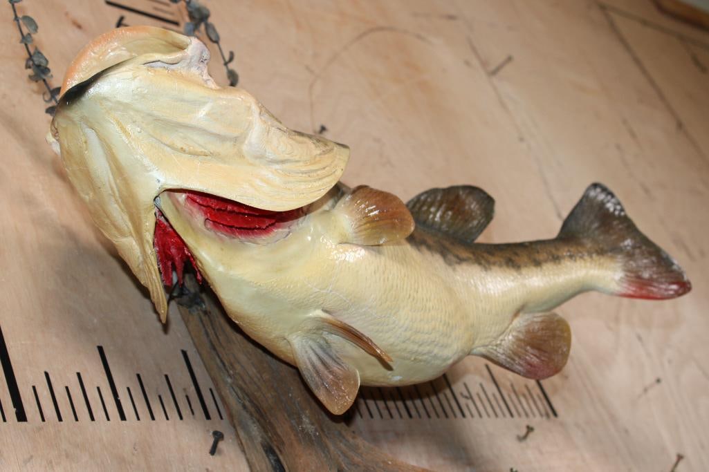 Big Reproduction BASS Mounted on Driftwood - 4