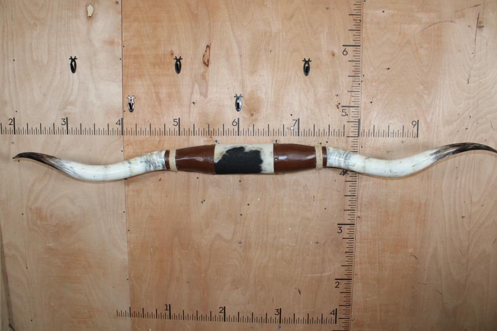 XL Polished and Mounted Set of TEXAS LONGHORNS: Beautiful XL Set of Polished and mounted TEXAS LONGHORNS. They have an 87.25" Spread from Tip to Tip. TAXIDERMY 