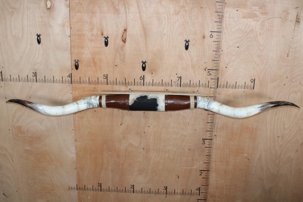 XL Polished and Mounted Set of TEXAS LONGHORNS - 3