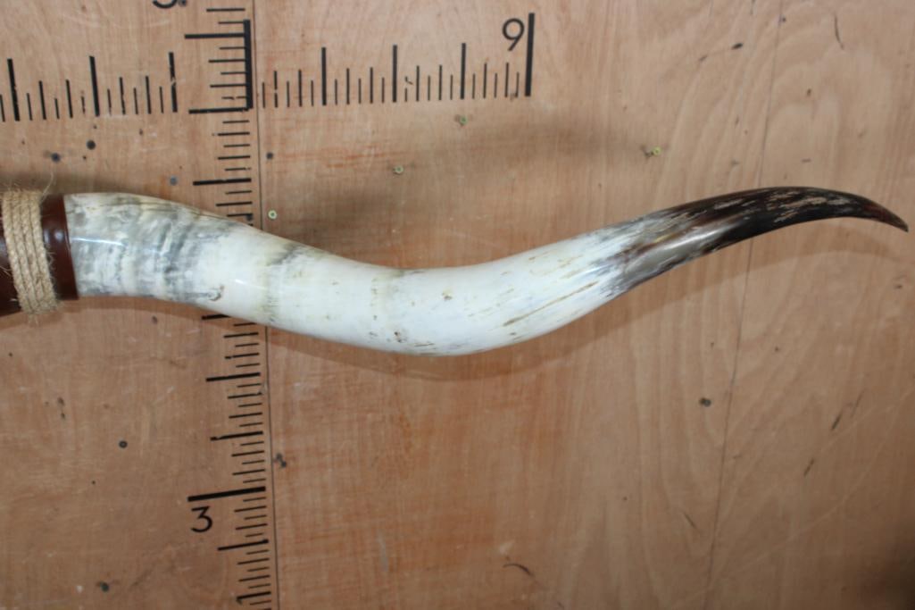 XL Polished and Mounted Set of TEXAS LONGHORNS - 5