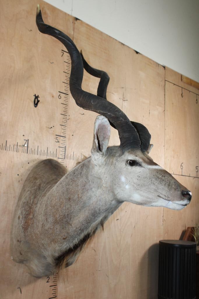 KUDU Shoulder Mount - 3