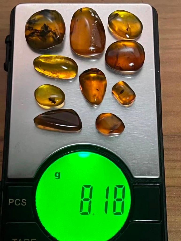 10 Pieces of Authentic Myanmar AMBER Fossil Specimens - 2