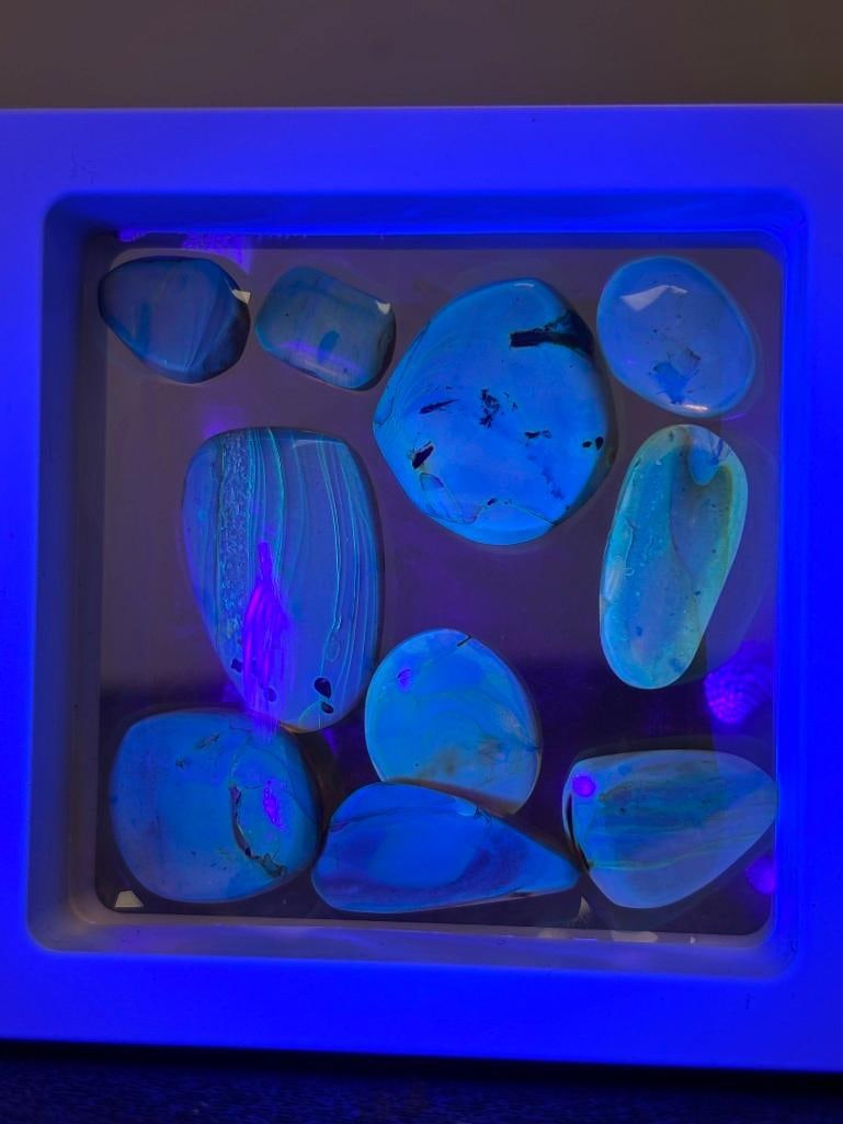 10 Pieces of Authentic Myanmar AMBER Fossil Specimens - 5