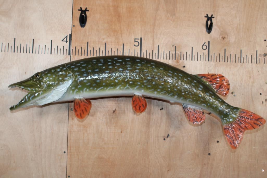 Big *Real Skin* NORTHERN PIKE Fish Mount: Big *Real Skin* NORTHERN PIKE Fish Mount. It measures 42.5" Long. It has a couple cracks on the skin, otherwise it is in Good Condition. TAXIDERMY FISH 