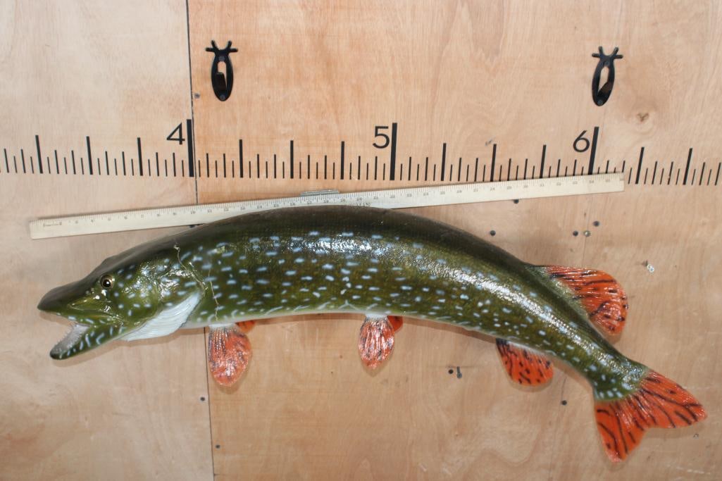 Big *Real Skin* NORTHERN PIKE Fish Mount - 2