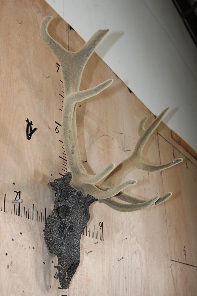 11-Point RED STAG Skull in "Velvet" with a "Rock Spray" Texture Finish - 3