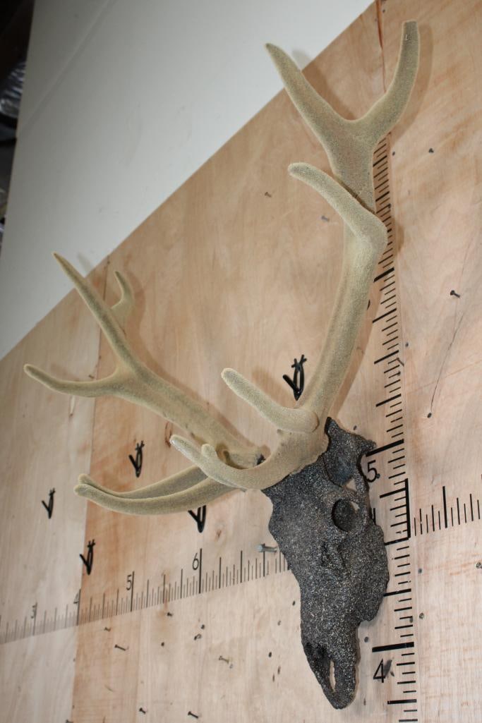 11-Point RED STAG Skull in "Velvet" with a "Rock Spray" Texture Finish - 4