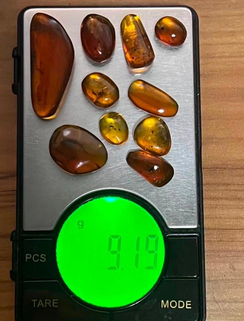 10 Pieces of Authentic Myanmar AMBER Fossil Specimens - 2