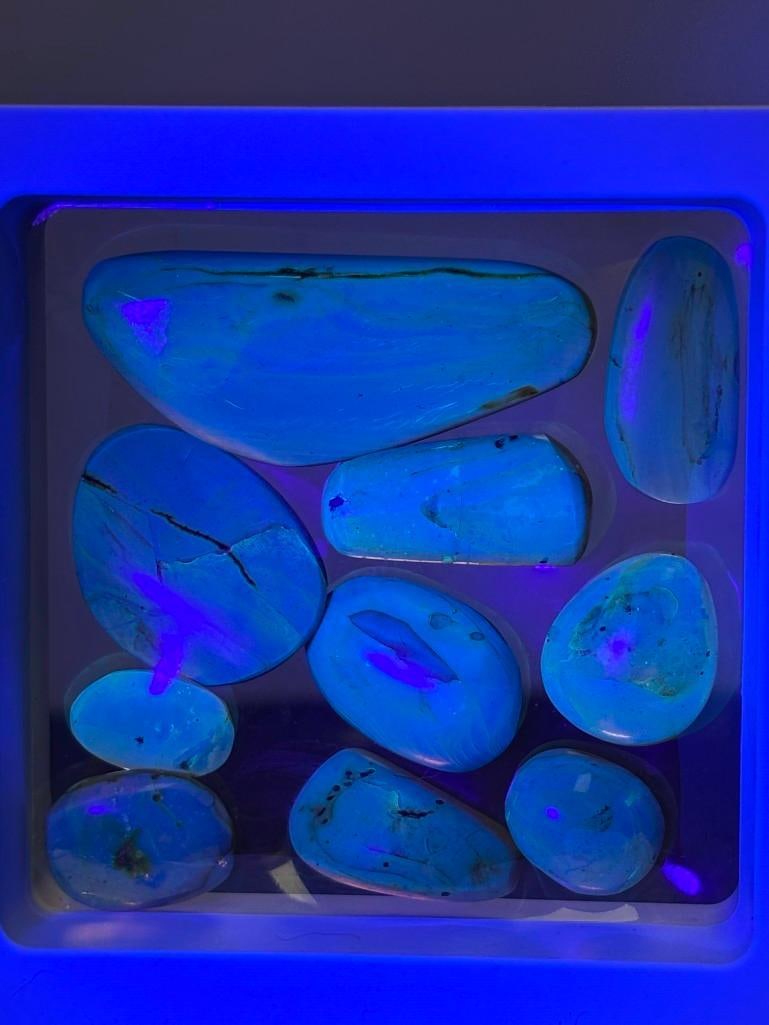 10 Pieces of Authentic Myanmar AMBER Fossil Specimens - 5