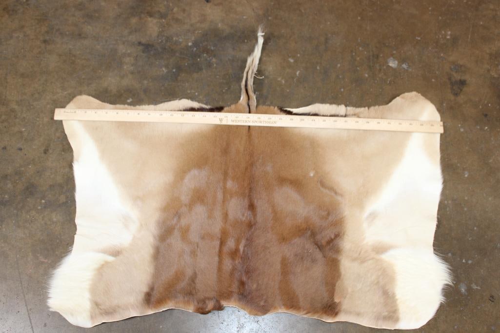 IMPALA Back Hide - 2