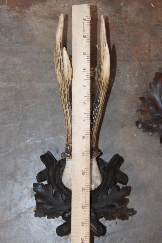 (4) ROE DEER Antler Sets on Skull Caps and Mounted on German Style Black Forest Wood Plaques - 2