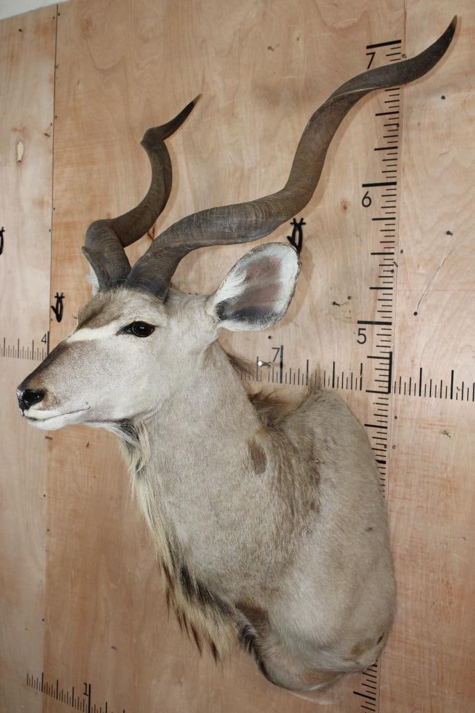 KUDU Shoulder Mount - 3
